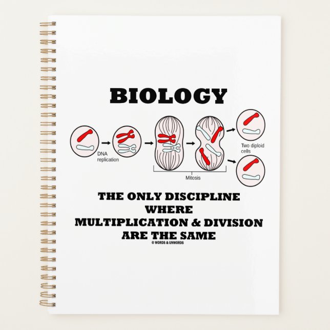 Division de la multiplication par discipline (Devant)