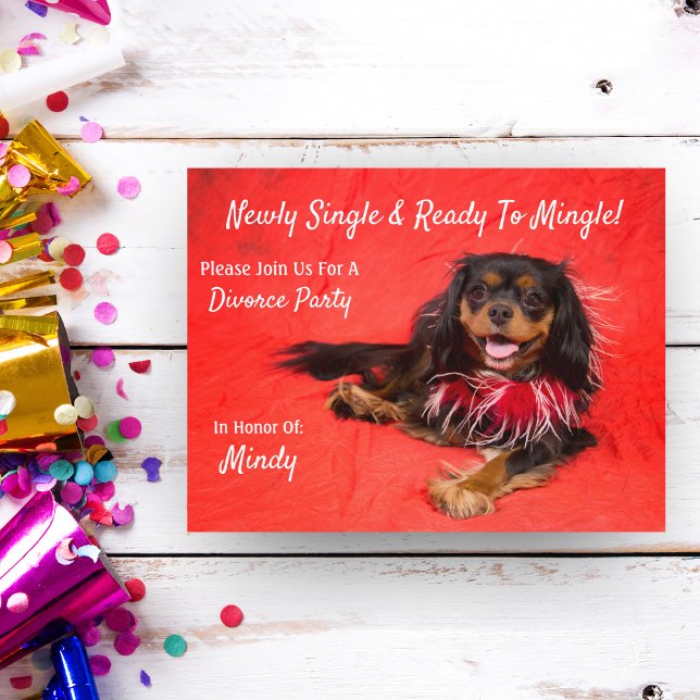 Divorce Party Cavalier King Charles Spaniel Invitation Postcard (Creator Uploaded)