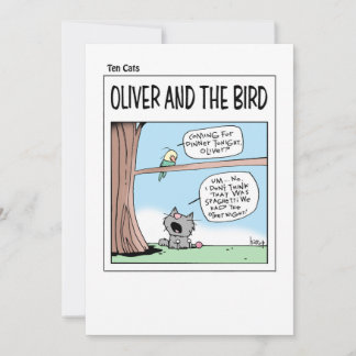 DIX cartes CATS - Oliver et l'oiseau