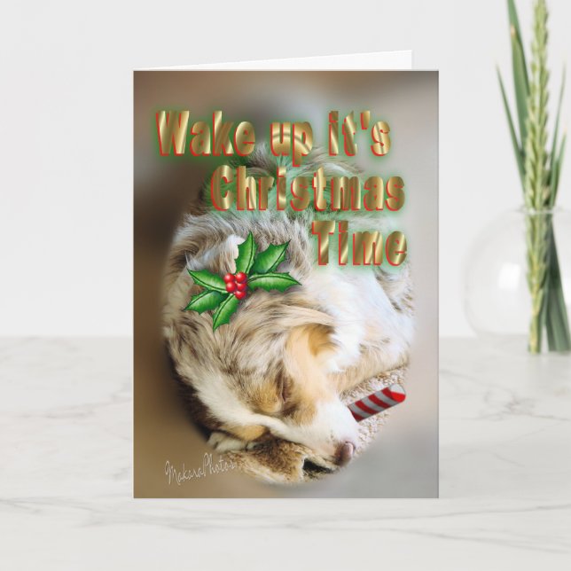 Dixie Christmas card-customize Holiday Card (Front)