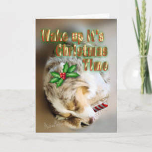 Dixie Christmas card-customize Holiday Card