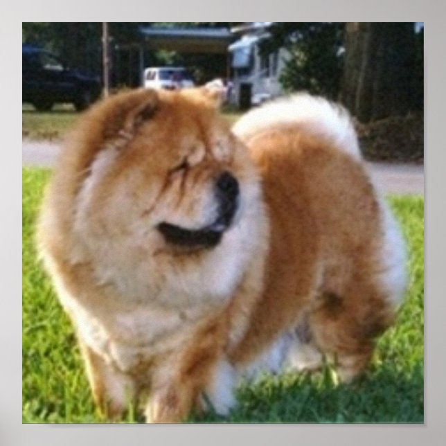 Dixie Darlin Poster (Front)