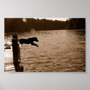 Dixie jumping off the dock poster