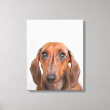 DIY Canvas Wall Art - Upload your photo!