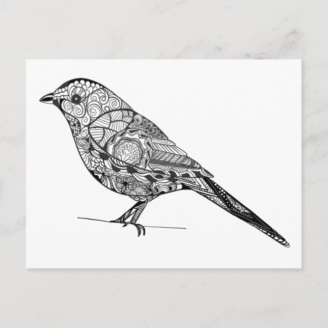 DIY colouring in bird line-art pattern Postcard (Front)