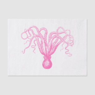 DIY Colours Stylized Octopus Drawing #8 HotPink Tissue Paper