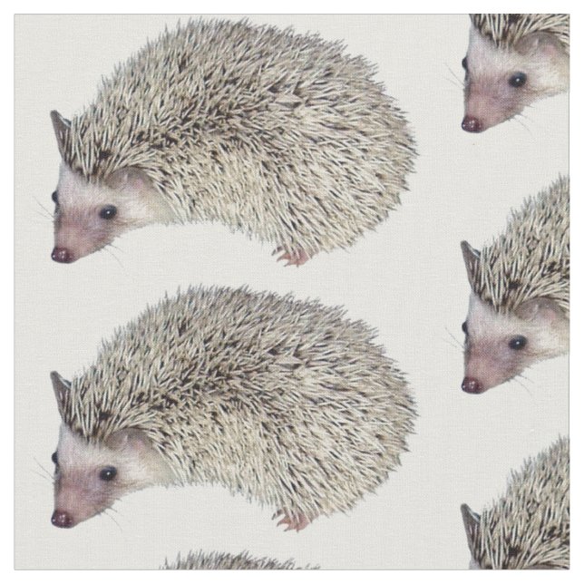 DIY Hedgehog cloth (Close Up)
