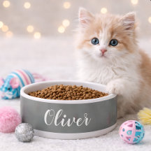 DIY Pet Bowl | Custom Name, Colour, Text