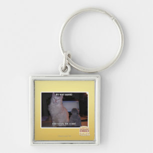 diz mai squidz keychain