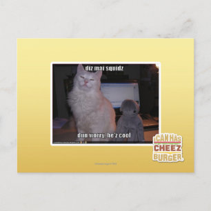 diz mai squidz postcard