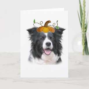 Dizzy Dogz~Border Collie Note Card~Halloween Card