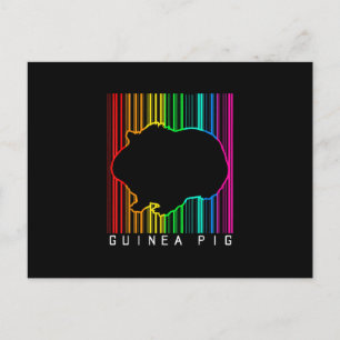 DJ Guinea Pig Techno Edm Animal Rave Star Rainbow Postcard