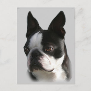 DJ the Boston Postcard