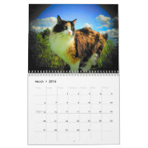 DJ's Artisticats by djoneill