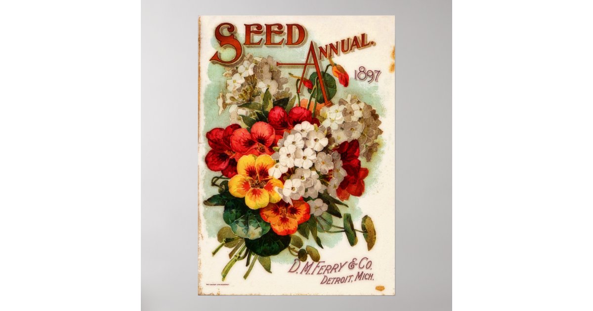 DM Ferry Vintage Flower Catalog Advertisement Poster Zazzle