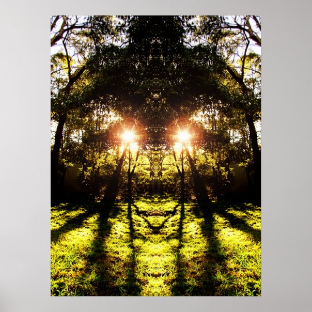 DMT 'AURUS Forest Poster (Front)