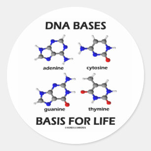 DNA Bases Basis For Life (Chemistry Molecules) Classic Round Sticker