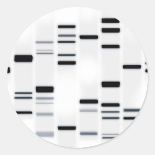DNA Code Art Black on White Classic Round Sticker