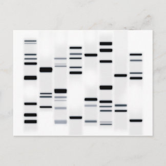 DNA Code Art Black on White Postcard