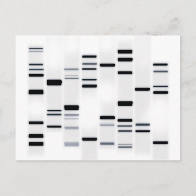 DNA Code Art Black on White Postcard (Front)