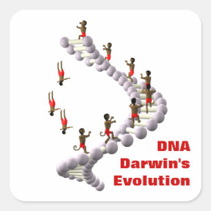 DNA Darwin's Evolution Square Sticker