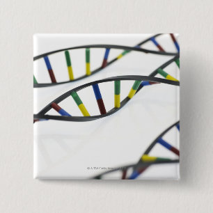 DNA (deoxyribonucleic acid) molecules. 2 Inch Square Button