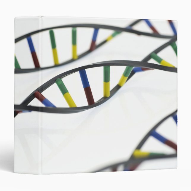 DNA (deoxyribonucleic acid) molecules. Binder (Front/Spine)