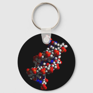 DNA Double Helix Model Keychain