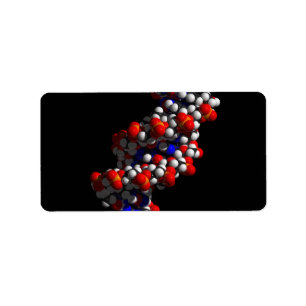 DNA Double Helix Model Label