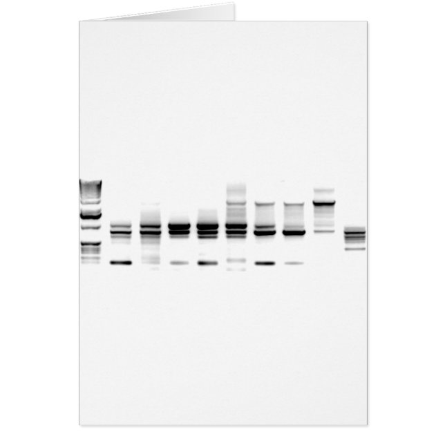 DNA Gel (Front)
