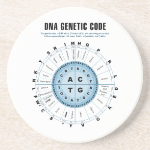 DNA Genetic Code Chart Coaster