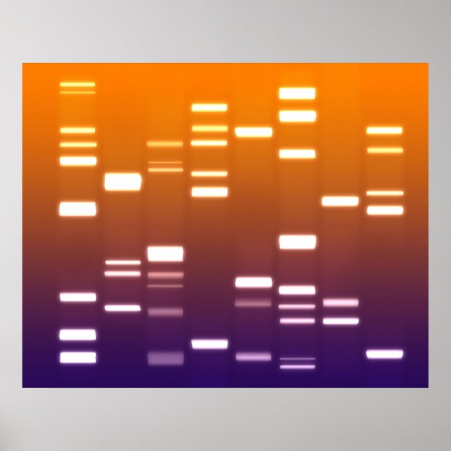 DNA Genetic Code Orange Blue Poster (Front)