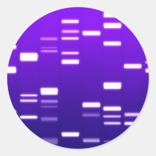 DNA Genetic Code Purple Classic Round Sticker