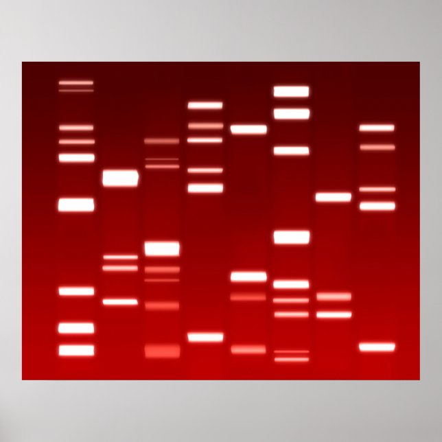DNA Genetic Code Red Poster (Front)
