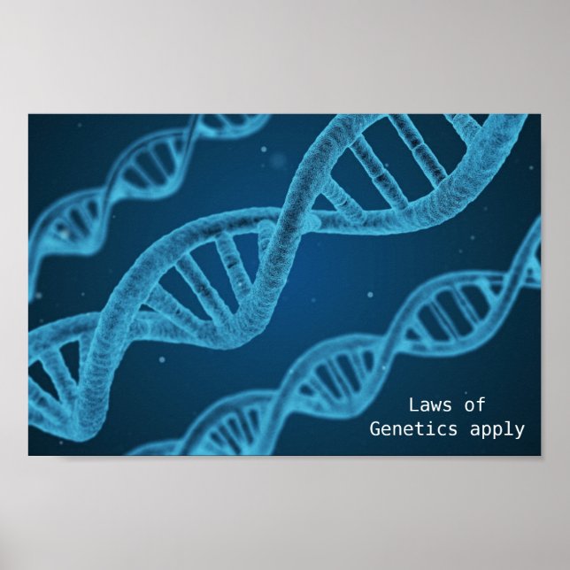 DNA genetics laws of genetics apply geek Poster (Front)