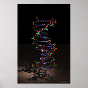 DNA in the Spotlight Poster