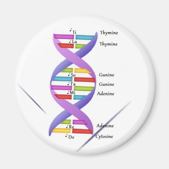 DNA Magnet (Front)