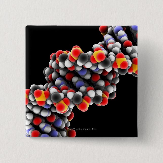 DNA molecule. Molecular model of DNA 2 Inch Square Button (Front)