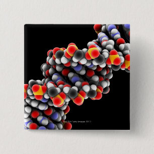 DNA molecule. Molecular model of DNA 2 Inch Square Button