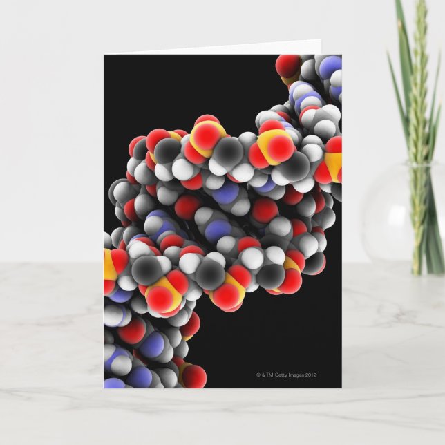 DNA molecule. Molecular model of DNA Card (Front)