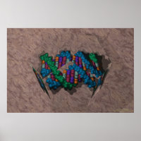 DNA Paperweight