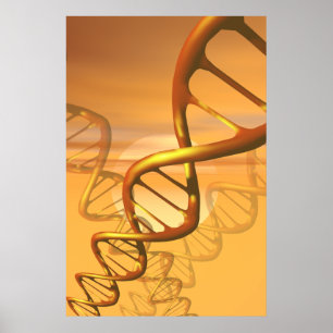 DNA poster