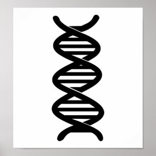 DNA POSTER
