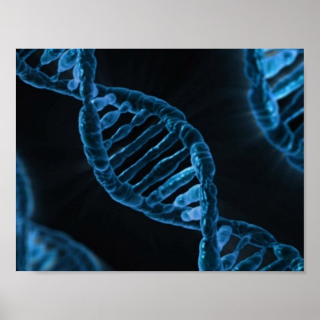 DNA POSTER (Front)