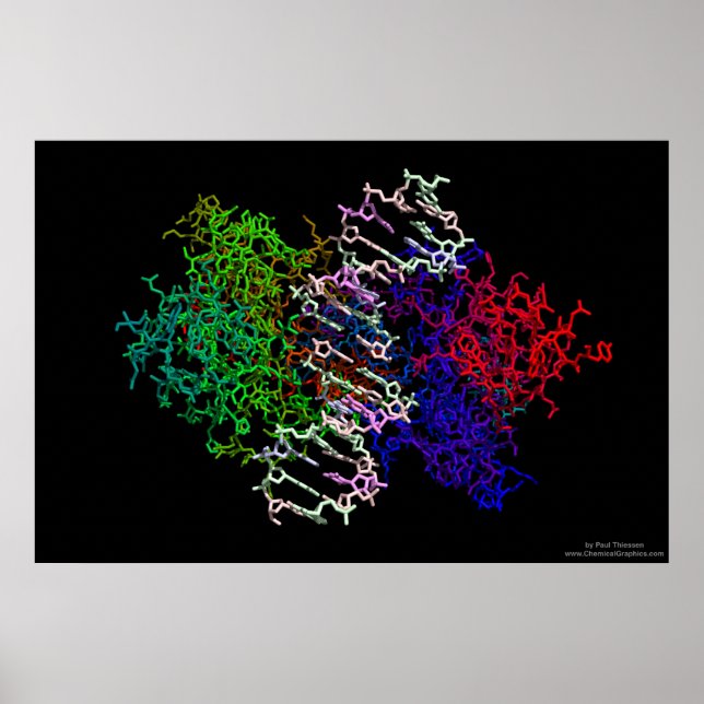 DNA Protein Complex Poster (Front)