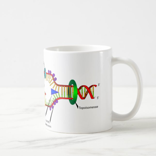 DNA replication Coffee Mug (Right)