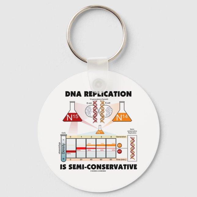 DNA Replication Is Semi-Conservative Keychain (Front)