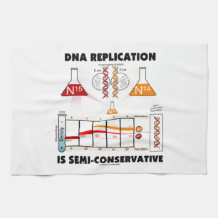 DNA Replication Is Semi-Conservative Kitchen Towel