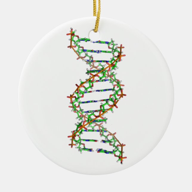 DNA - science/scientist/biology Ceramic Ornament (Front)