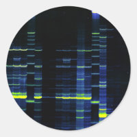 DNA Sequence gel 1